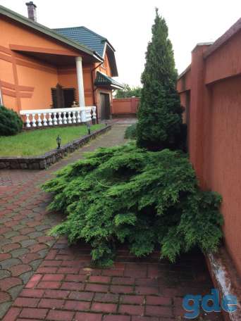 Жилой дом, Февральская 8, фотография 7