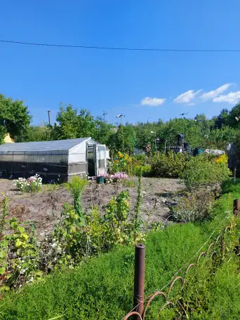 Продажа дачи, Брестская обл., Березовский р-н, Соколовский с/с, СТ 