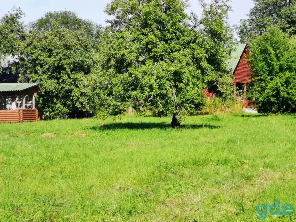 Продам усадьбу с баней беседкой на берегу озера, Витебская область, Поставский район, деревня Сурвилишки, улица Межозерная, 20б, фотография 3