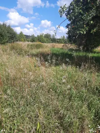 Дом в Пуще, д.Дворцы ул. Советская 40 Каменецкий р-н, фотография 5