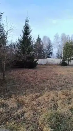 Продам Земельный участок ст ВЕРЯГИ, фотография 4