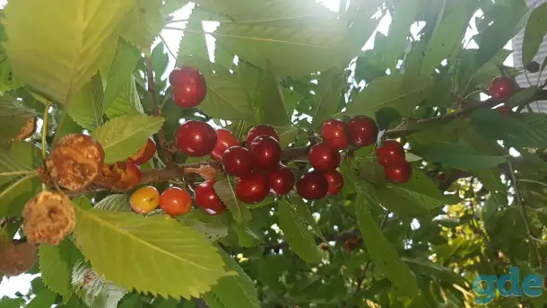 Продажа, фотография 5
