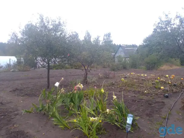 Продам участок с Домиком, Черемашня, фотография 1
