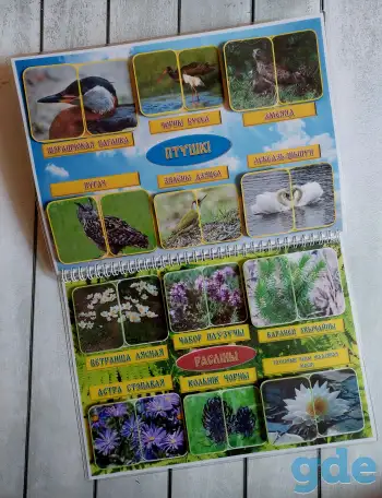 Лэпбук/альбом 