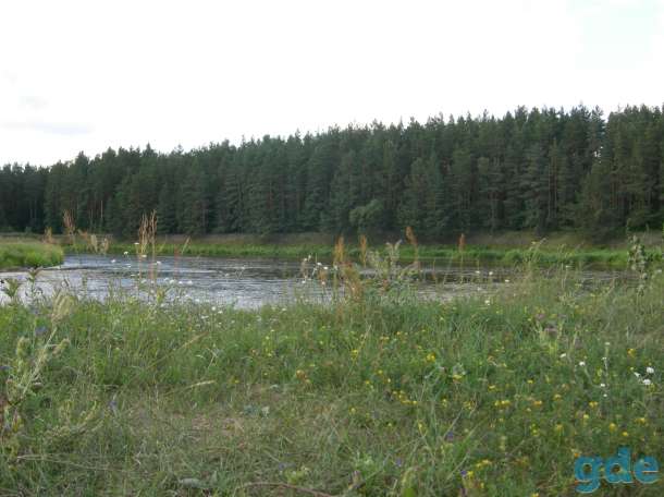 Продажа дома, д. Быстрица, Островецкий р-н, Гродненская обл., фотография 5