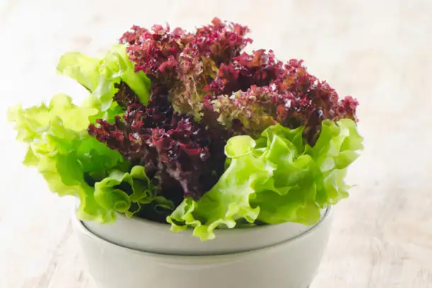 Працвники на продукцю та пакування листя салату, фотография 1