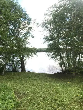 Участок на берегу озера Долгое, Прошковская ул, деревня Зябки, Псуевский сельсовет, Глубокский район, Витебская, фотография 3