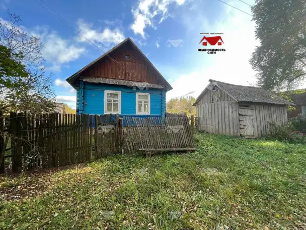 Жилой дом в д.Александрово,42 Чаусский р-н, фотография 2