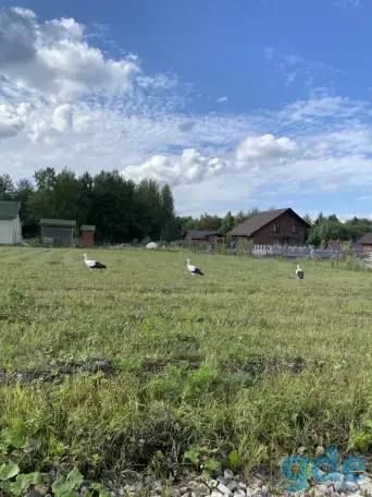 Участок в 18 км от Минска в СТ Калезея рядом с д.Беларучи, фотография 13