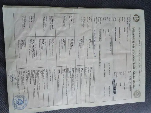 Продажа, фотография 2