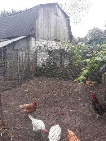 дом, Быховская, фотография 5