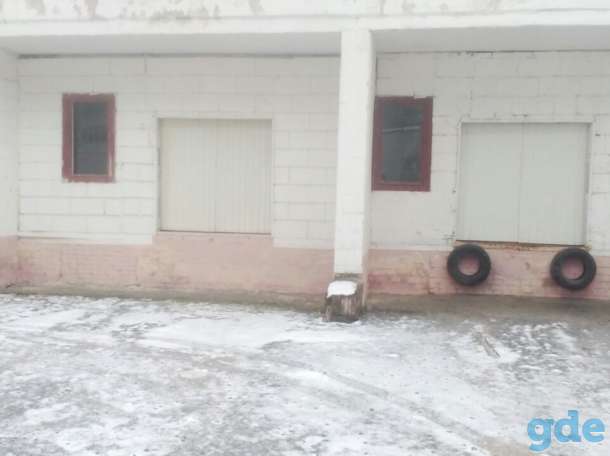 Сдам в аренду складские помещения, фотография 1