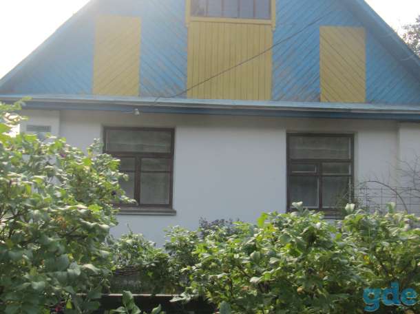 Продам усадьбу в аг. Боровики Светлогорского района, фотография 12