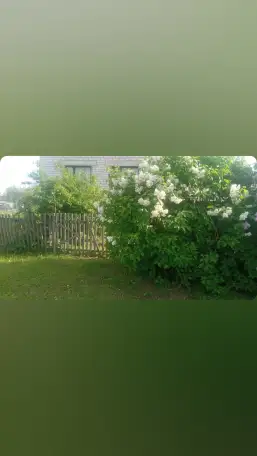 Дом у МКАДа, Могилевский район. д. Жуково ул. Сaдовая, фотография 11