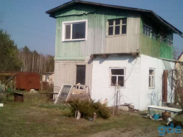 Продажа дачи в с.т. ,,дружба копань ,, Гомельская область,Речицкий район,д.Копань, фотография 1