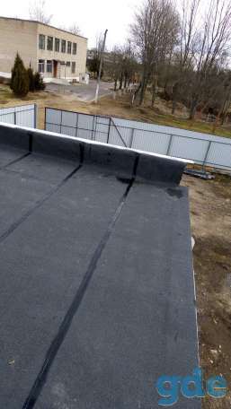 Продам участок 12 сот с домом, Летчанский р-н, д. Старое Село, фотография 8