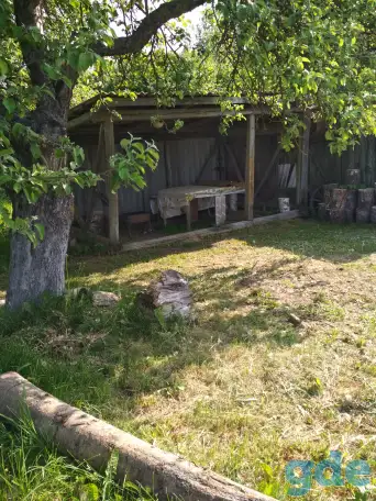 Отдых на Браславский озёрах, фотография 2