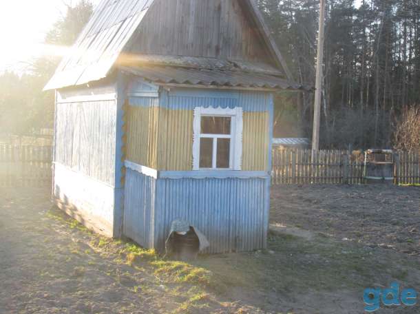 Продам дачу, Березинский район д.Гурещина садовое товорищество Мечта, фотография 6