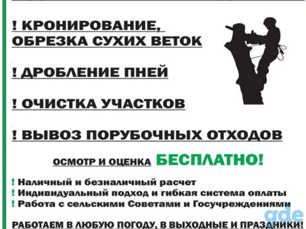 Спилим дерево, фотография 1