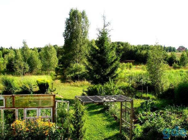 Срочно продам дачу, район, деревня Старинки, ул. Ягодная, дом 21, фотография 5