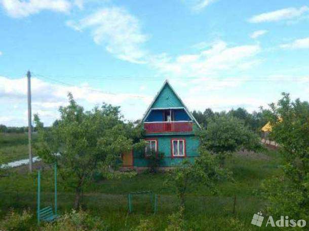 Приглашаем отдохнуть на уютной даче на Браславских озерах., фотография 1