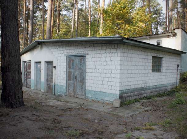 Продается территория 5,5 га с недвижимостью под Гомелем для создания бизнеса, фотография 6