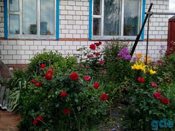 Дом, Садовая 23, фотография 1