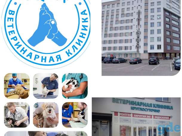 Ветеринарные клиники 