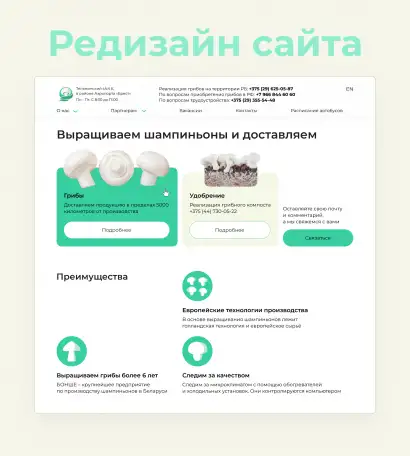 Создам дизайн сайта, баннера, фотография 5