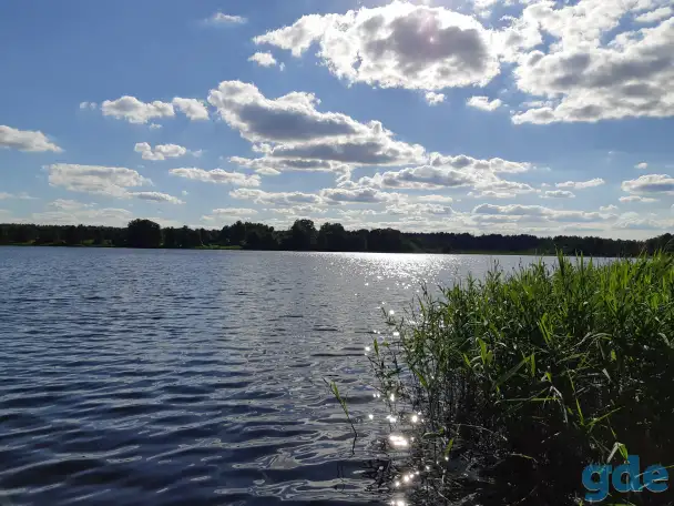 Дом с участком, д. Ёди дом 7 район Гродненская область, фотография 7