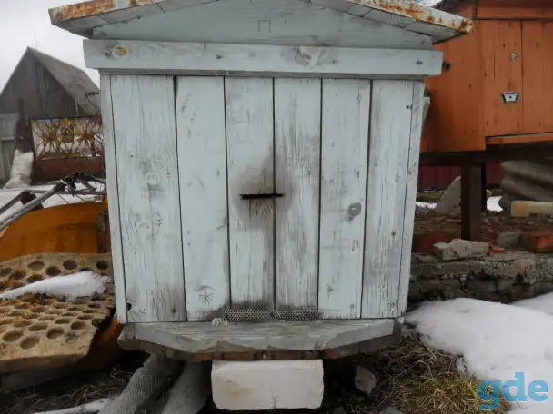 пчелы, фотография 2
