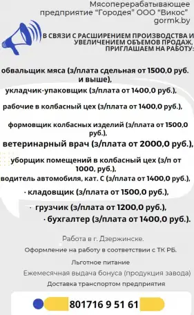 в г. Дзержинске, фотография 1