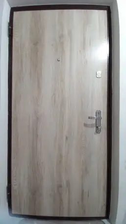 Двери входные, фотография 2