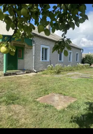 Дом, Кирова ул, 11, деревня Боровцы, Дятловичский сельсовет, район, Брестс, фотография 2