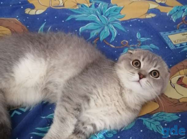 Продаю, фотография 2