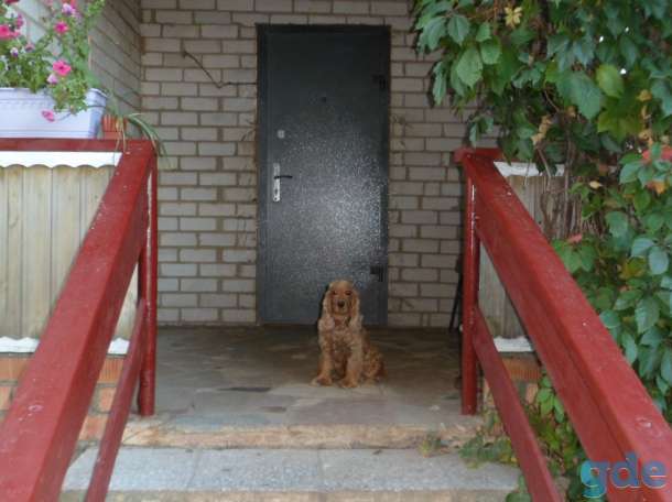 продам дом,кировский р-он д. Волосовичи, фотография 7
