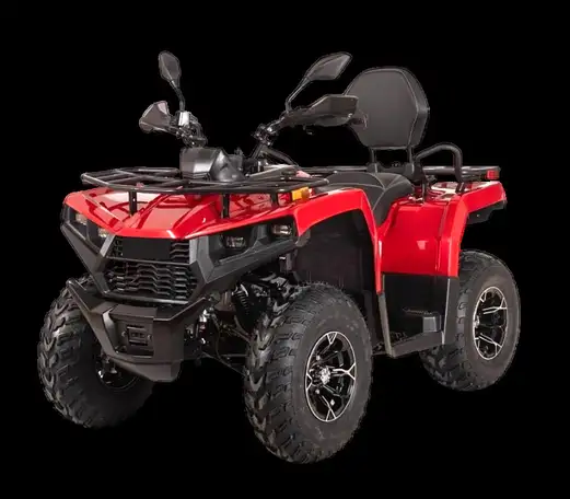 Квадрицикл bizon yk250 lux efi, фотография 1