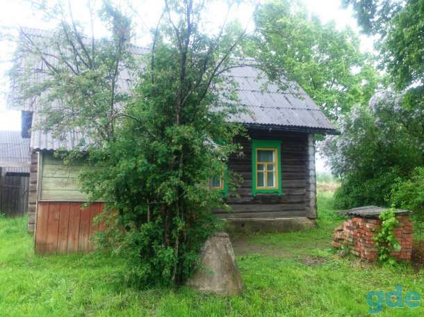 Дом на берегу Западной Двины в д.Черчицы, фотография 5