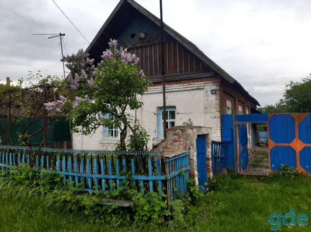дом, Гомельская обл. р-он Деревня Перерост, фотография 2