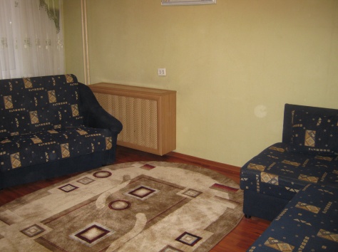 Сутки, часы 1 ком.квартира метро Спортивная, фотография 5