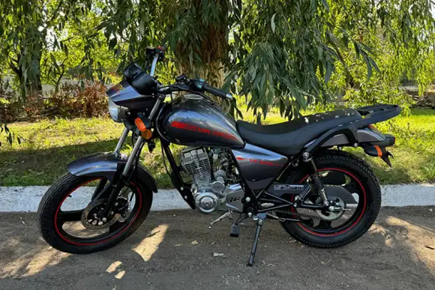 Мотоцикл Хорс Z 150 серый 150 см3, фотография 12