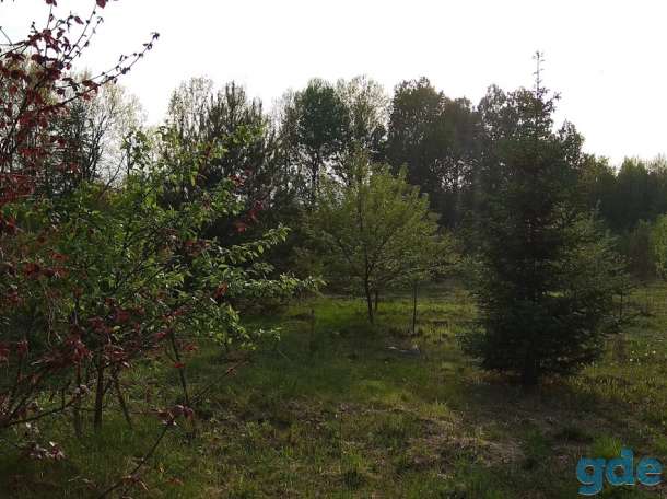Фермерское хозяйство под Гродно, фотография 5