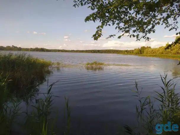 прекрасный участок на берегу озера Городно, Озёрная ул, 13, деревня Городнянский Мох, Новкинский сельсовет, район,, фотография 7