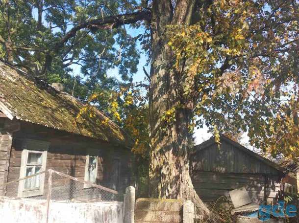 Продаю дом в деревне, ул.Партизанская, 25, д.Петровичи, Ивановский район Брестской области, фотография 5