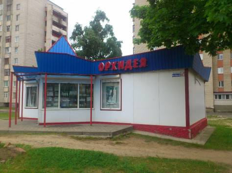 Продаю магазин, фотография 2