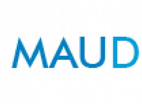 MauDesign — создание и продвижение сайтов в Жлобине, фотография 1