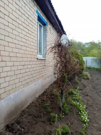 Продам дом  с газовым отоплением, фотография 15