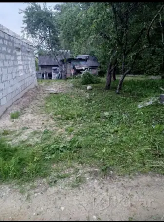 Участок, дача, фотография 4