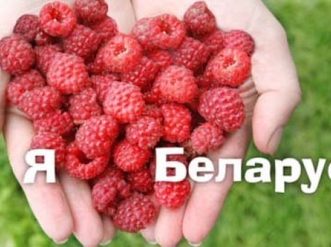 Экскурсии по Беларуси , фотография 2