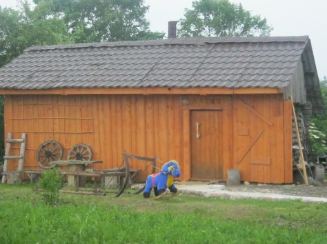 дом на берегу озера глубоксский район, фотография 2